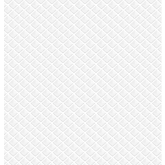 FLOOR MAT - 16.5" X 21.5"  ECONOMY UNPRINTED DISPOSABLE 