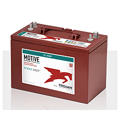 BATTERY - 12V AGM 100AH TROJAN  (31-AGM)
